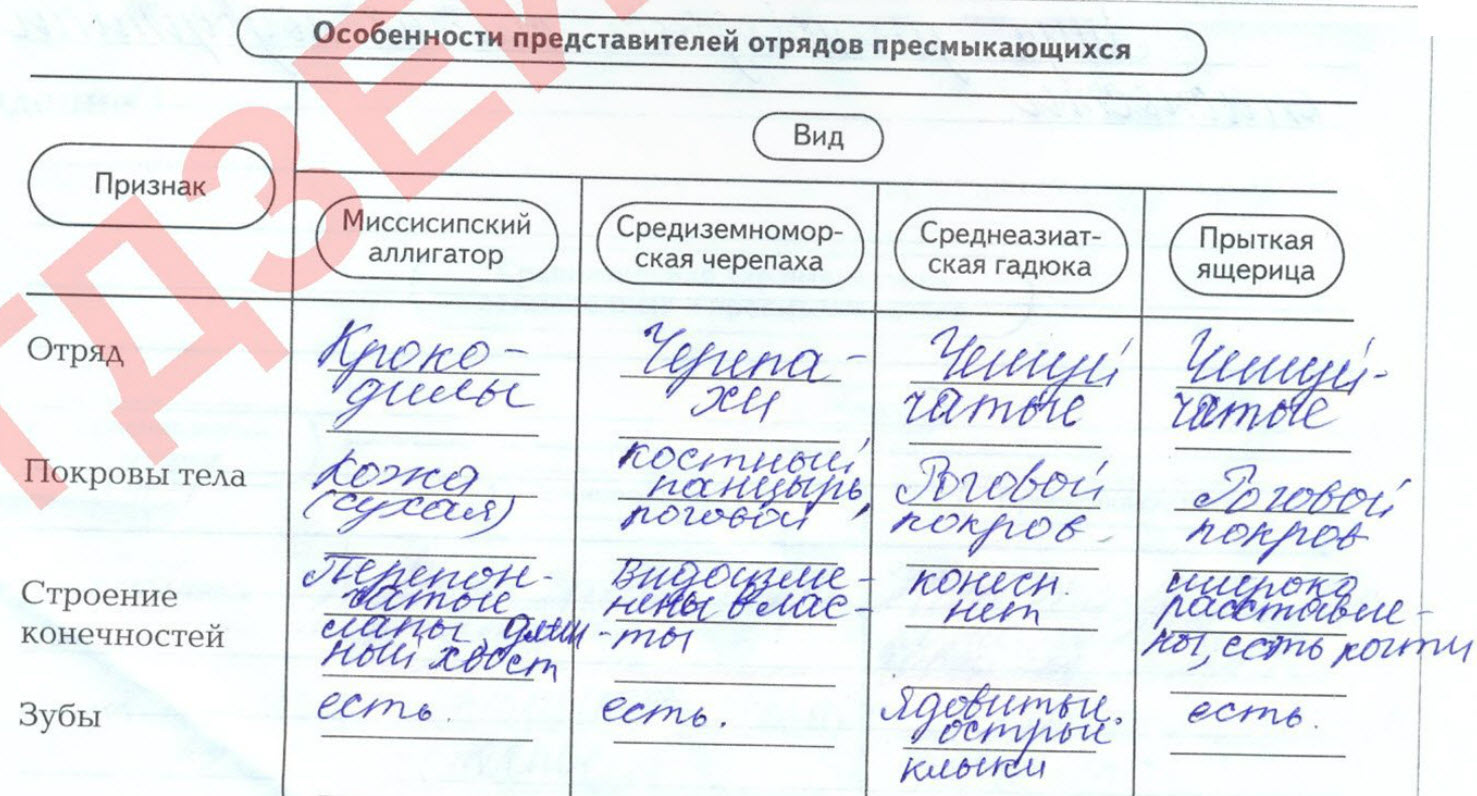 Таблица по биологии 8 класс пресмыкающиеся Самостоятельная работа класс пресмыкающиеся